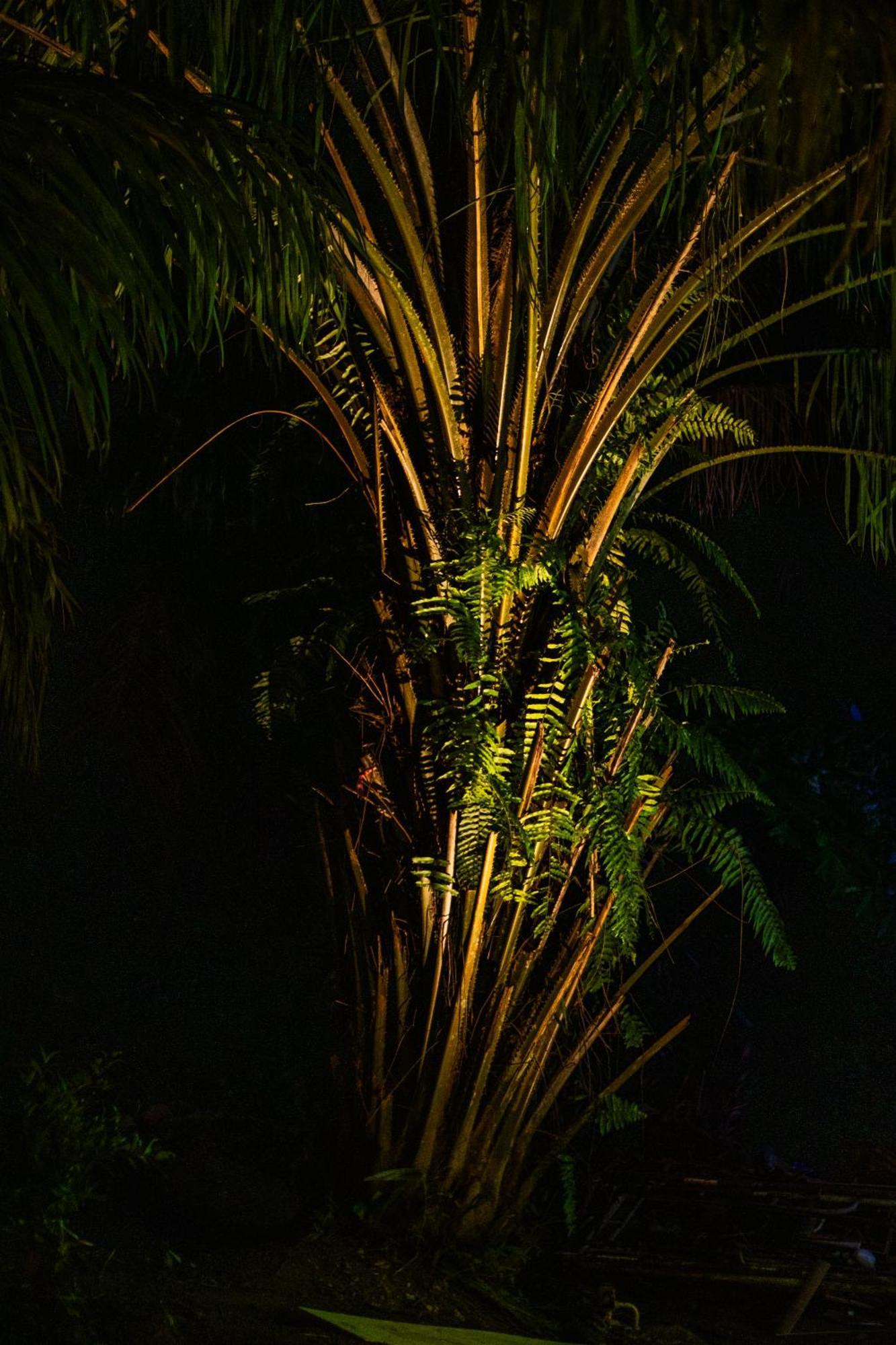 Ban Nok Leela Garden Resort מראה חיצוני תמונה